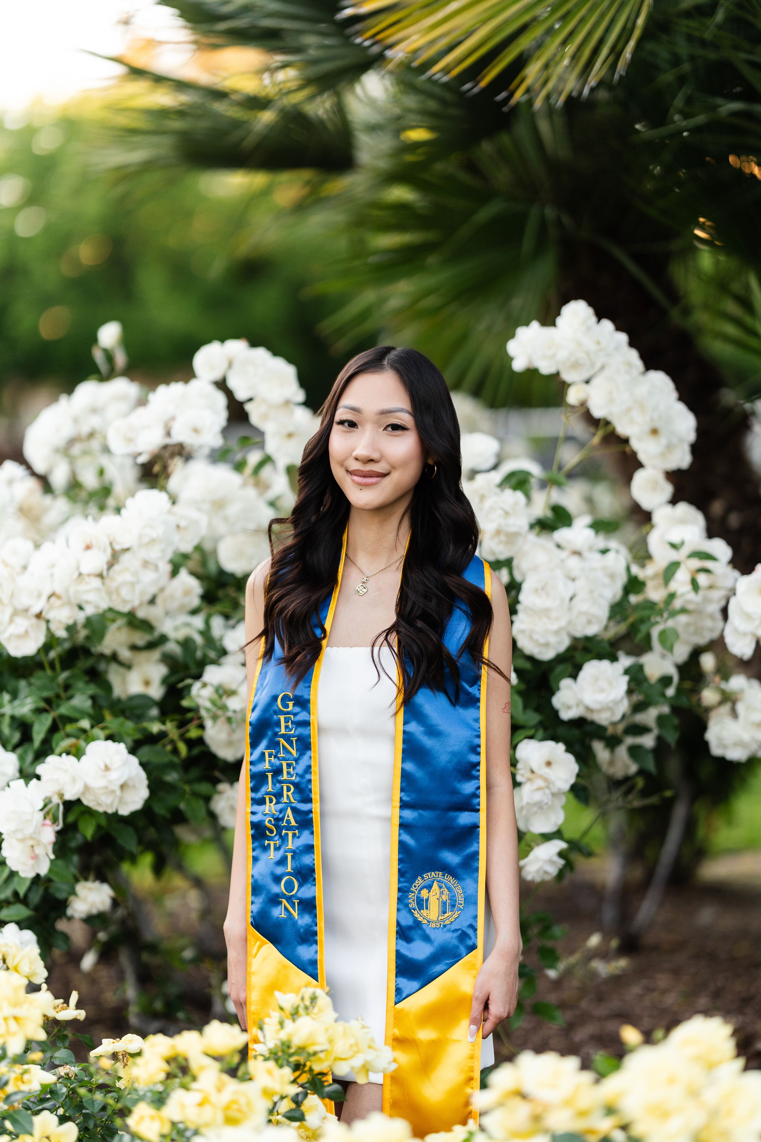 DSC09261 2 11a77001 2500.jpg