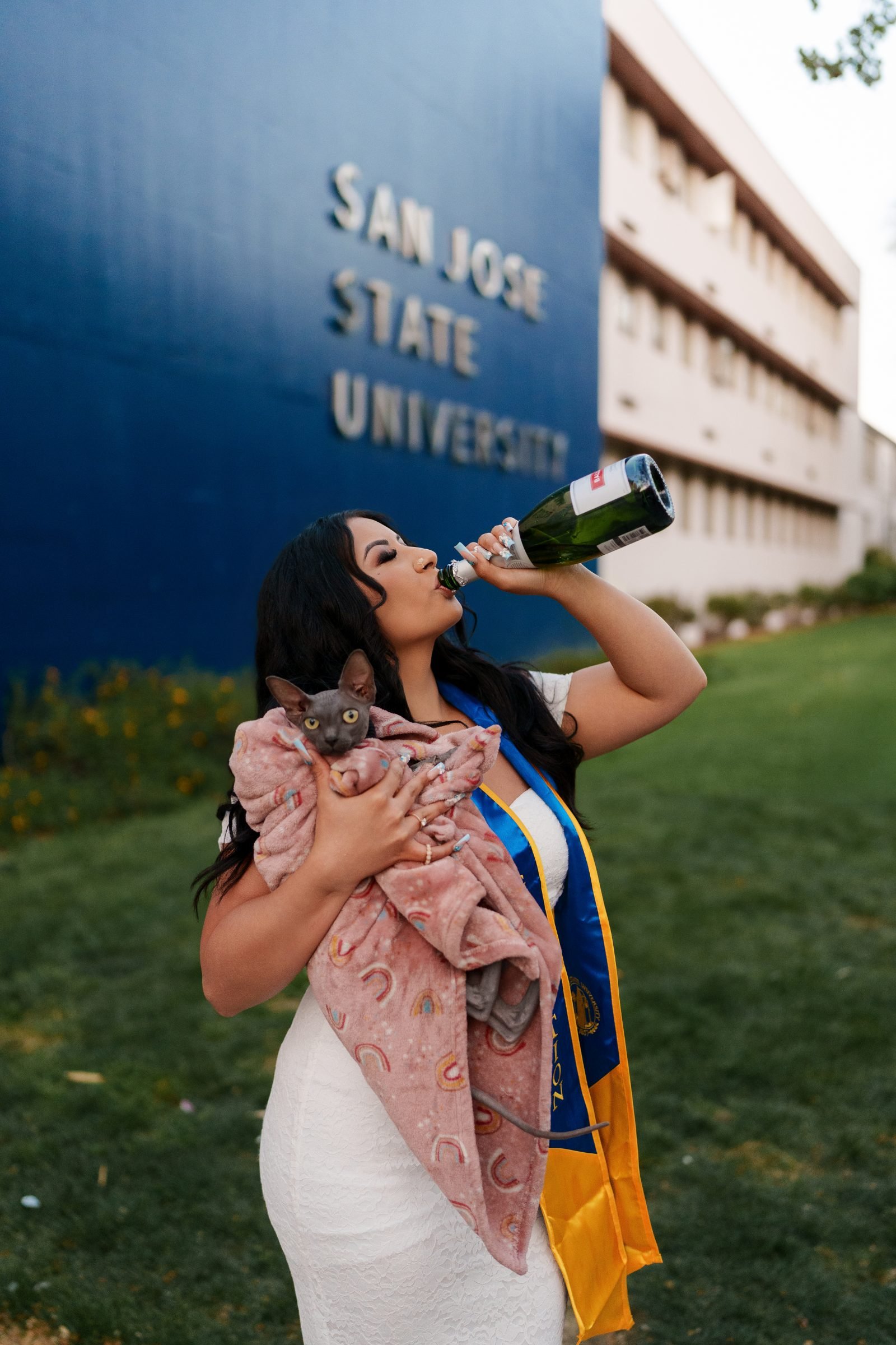 Maya sipping champagne from a bottle while cradling her sphynx cat in a pink blanket at the SJSU sign