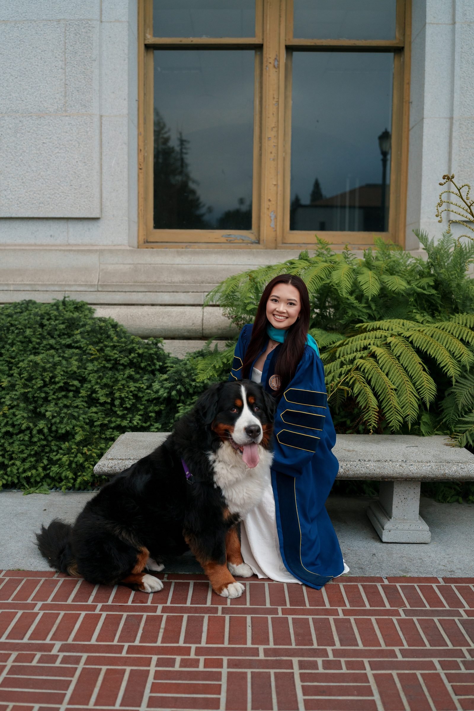 Graduate in blue and gold doctoral regalia sits on a stone bench beside a large Bernese Mountain Dog, smiling warmly in front of ferns and a stone building with brick pathway in the foreground.