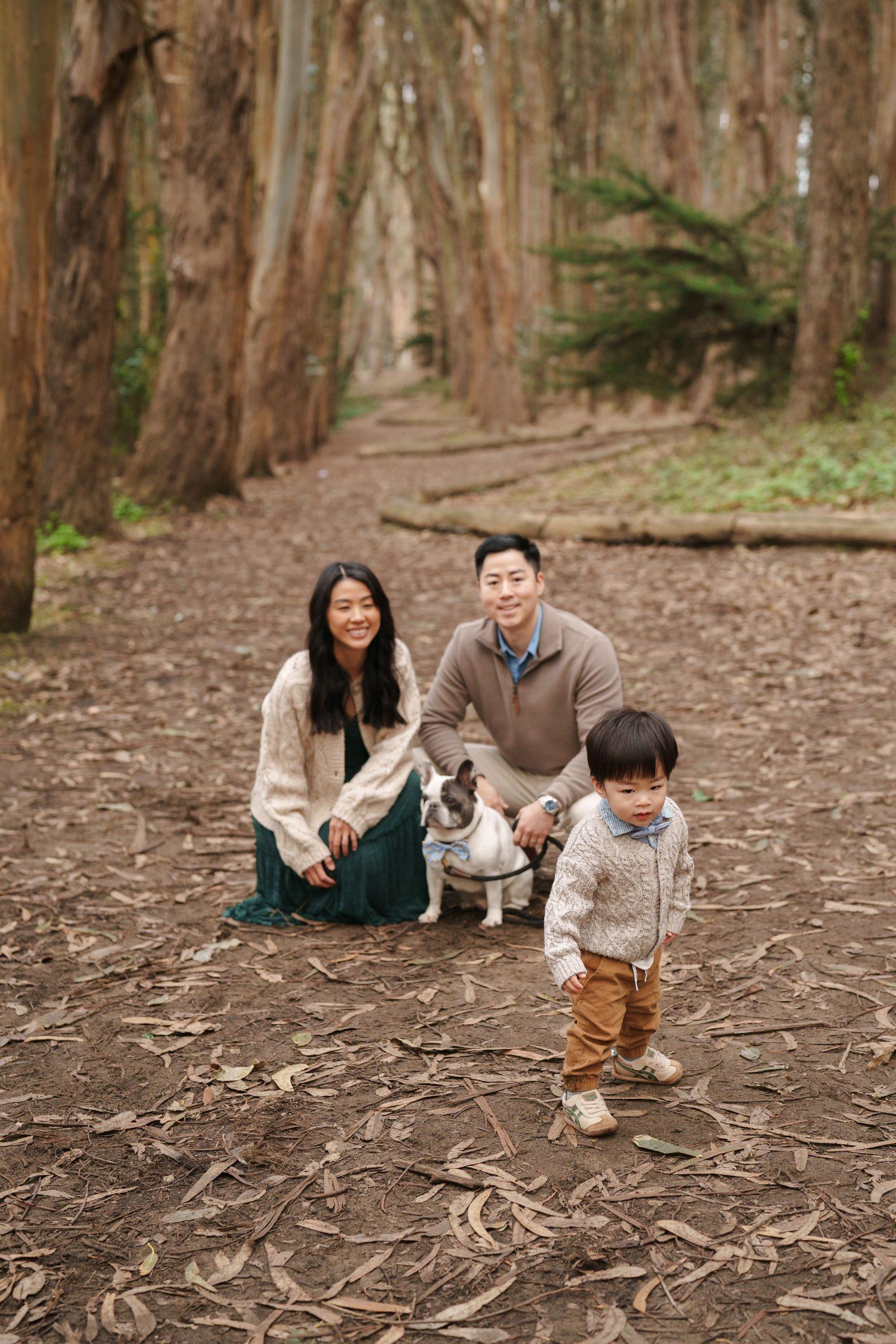 Bay Area family portrait of parents kneeling with a French bulldog as their toddler son in a knit sweater walks ahead on a